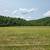 Year-End Sale!!  92 Acres in Reynolds County - Pasture - Woods - Creek 3 thumbnail
