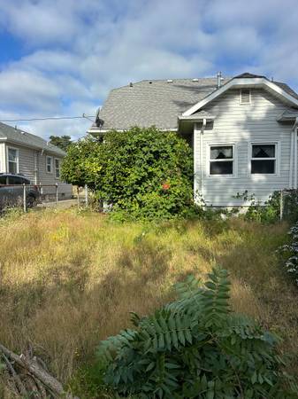 ONE TIME YARD CLEAN UPS-TRIMMING,WEEDING,IVY, BLACKBERRY REMOVALS etc 1