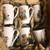 Six Norman Rockwell Mugs 6 thumbnail