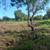 LAND FOR SALE 7 thumbnail