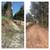 Land Clearing, Tree Services, Wild Fire Prevention, Road Maintenance! 14 thumbnail