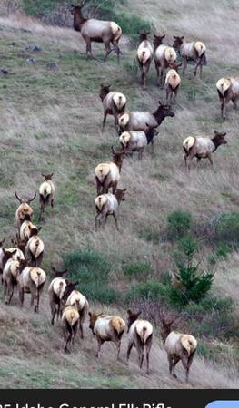 Private land elk hunting 1