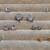 9 NEW or New/Never Used Earrings - $3.00 to $13.00 each 1 thumbnail