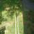 ARS EXTENDABLE POLE PRUNER 9 thumbnail