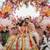 Wedding Photographer Cost: Packages & Prices Sagunthala Media Vision 9 thumbnail