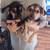 Puppies 2 thumbnail