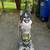 Eureka Vacuum 1 thumbnail