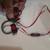 Beats ear buds 2 thumbnail
