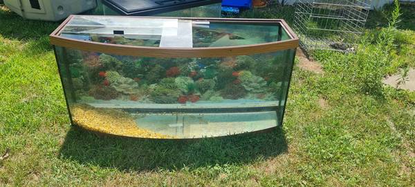 Tanque y soporte (Isla del Medio)63621720154881123