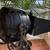 Vintage Hollywood Fresnel Lights McAlister and Bardwell & McAlister 3 thumbnail