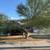 Downtown Home for Rent. Be near all the action. All Util Included 1 thumbnail