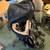 Deuter Kid Comfort Child Carrier and Backpack for Travel & Hiking with 3 thumbnail