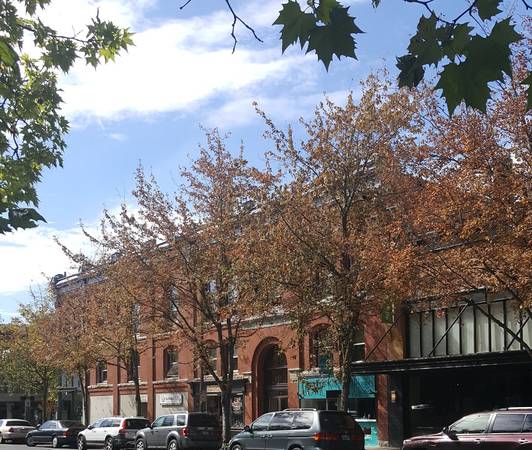 $1,000 / 380ft2 - 1303 Commercial Street #2 (Downtown Bellingham)63920959355650122