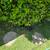 Yard drains/ roof drains/ sewer drains jetted 5 thumbnail
