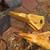 RIPPER/ EXCAVATOR TIPS 1 thumbnail