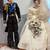 The Danbury Mint Prince Charles and Princess Diana 19" Dolls 1 thumbnail