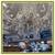 Schonbek Sterling Collection Candle Style Crystal Chandelier 10 thumbnail