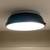 Shades of Light Classic Dome Enameled Ceiling Light 1 thumbnail