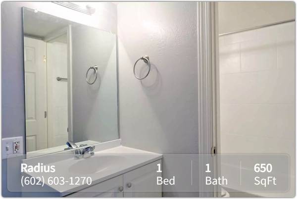 $1,110 / 1br - 650ft2 - Simply breath-taking! Beautifully designed 1 BR/1 BA - just for you (Phoenix - Near Phoenix Children's Hospital)64024825210114121