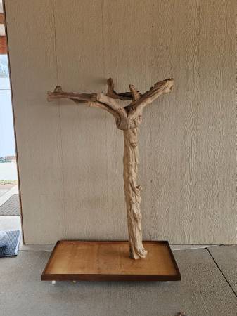 Large Bird Perch for Macaws 1