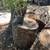 Garden Decor 3 thumbnail
