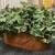 3 Decorative Indoor/Outdoor Artificial Ivy Plants (vases not included) 2 thumbnail