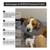 NEW MiDog size XL inflatable collar neck donut protective recover cone 12 thumbnail