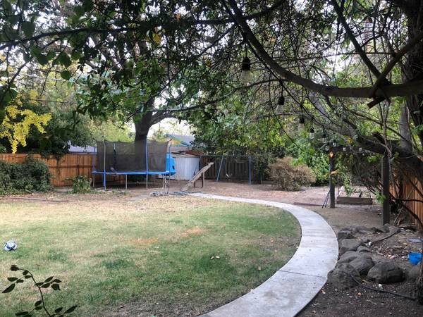 $975 / 4br - 1600ft2 - 1 room in a beautiful 4 BR 2 BA House for Rent in Central Davis (Davis)63919496609283124