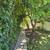 ADU FOR RENT IN WOODLAND HILLS 3 thumbnail