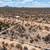 Diamond Bell Ranch 1.35 Acres Lot/Land  - $35,000 7 thumbnail