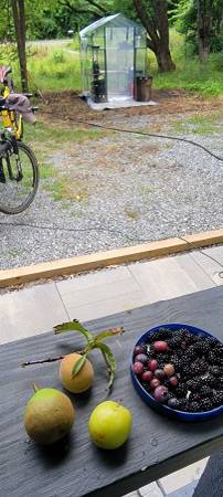$550 Espacio de estacionamiento móvil rodeado de bosque con arroyo, sin señal de celular (Union Mills, NC)63179790360195123