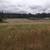 5 Acres with Irrigation 9 thumbnail