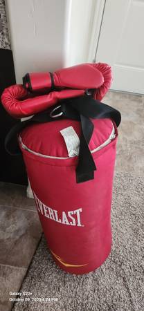Everlast punching bag 1