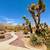 3 bdrm + den home on half-acre 1 thumbnail