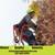 ***Professional Lawn and Maintenance Services, Quality & Excellence*** 24 thumbnail
