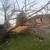 Yard Debris & Tree Limb Removal – 314-629-5110 1 thumbnail