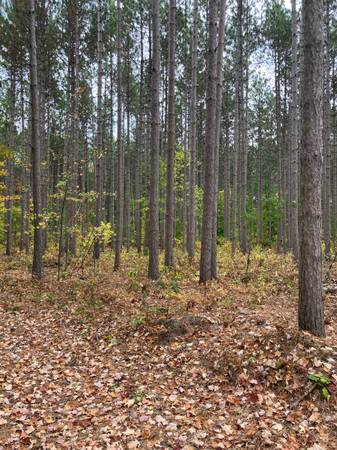 WANTED HUNTING LAND TO PURCHASE FROM PRIVATE PARTY 1