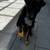 Rehoming Dog 1 thumbnail