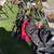 Yard Sale 16 thumbnail