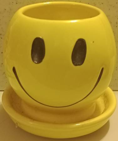 1971 Nelson Mccoy Coffee Mug 1