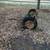 vintage steel wheels, axles 2 thumbnail