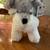 LIKE NEW SHAKESPEAREAN CHARLIE BEAR, LIKE NEW HUGME STUFFED DOG 9 thumbnail