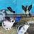 Rabbits 4 thumbnail