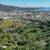 Scenic 0.3-Acre Lot in San Rafael—Bay Views, Quiet, Near Downtown 1 thumbnail