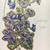 Violet Flowers 3 thumbnail