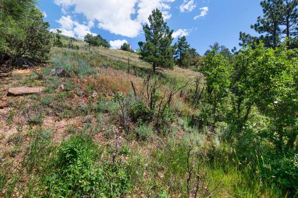 $175,000 / 41857ft2 - JUST UNDER 1 ACRE LOT NEAR UTE PARK TO BUILD YOUR BEAUTIFUL HOME! (Colorado Springs)63658213519873124