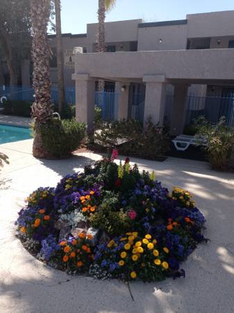 $999 / 2br - 802ft2 - ¡GRATIS! ¡Lavadora/secadora incluidas! 2 habitaciones 1 baño La Cima Apartments (Tucson)63674929115265120