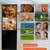 Digital Signage Display 4 thumbnail