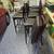8 Folding Barstool Chairs 5 thumbnail