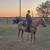 High Brow Cat Foundation Bred AQHA Palomino (2022) Filly Started 17 thumbnail